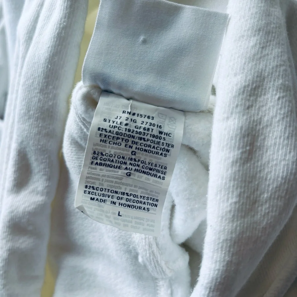 Champion Reverse Weave Loose Heavyweight Hoodie - Picture 9 of 9